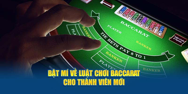 Hội viên cần ghi nhớ luật trước khi đặt tiền các ván đấu