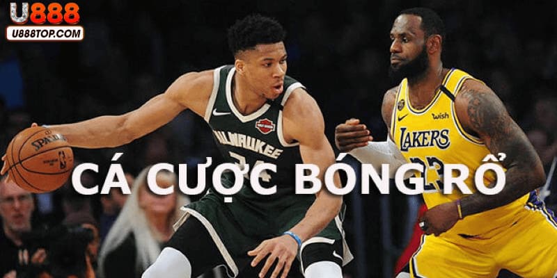 U888 cá cược bóng rổ trả thưởng hấp dẫn